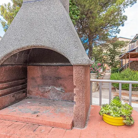 Pet Friendly In Apartamento