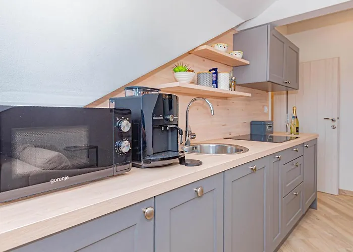 Apartamento Pet Friendly In